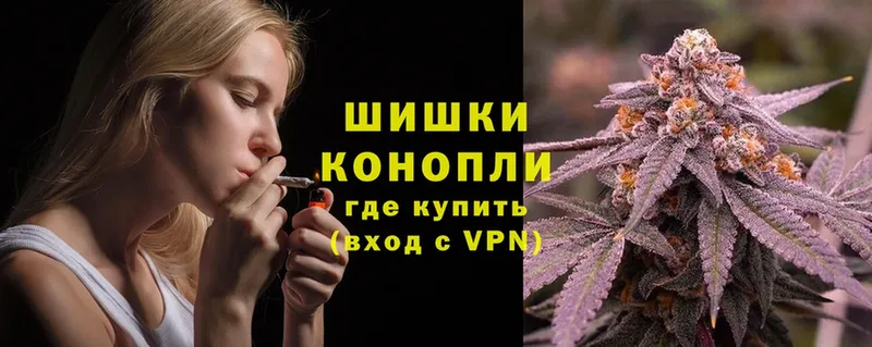 где купить наркотик  Новокубанск  Бошки марихуана OG Kush 